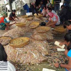 Bangkitlah Rakyat Inhil, Kisah Nelayan di Sungai Buluh Sukses Ekspor Udang ke Luar Negeri